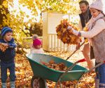 6 fall allergy fixes