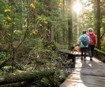 5 ways nature keeps you healthy, according to research