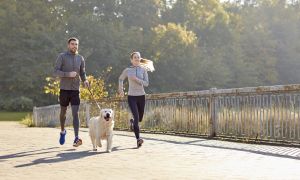 Enhance Physical Activity with Four Legs