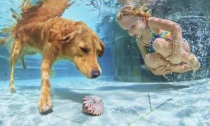 5 smart ways to get your kids physically active and fit