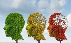 What are the financial perils of dementia?