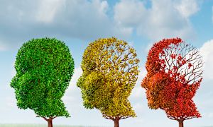 What are the financial perils of dementia?