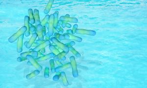 Everything you need to know about Legionnaires’ disease