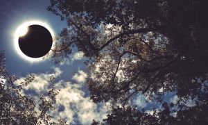 Watching a solar eclipse? Here’s how to protect your eyes