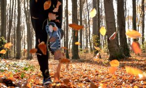 Top healthy reasons to love fall