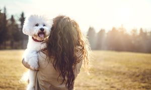 The science behind broken heart syndrome