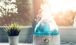 5 health benefits of humidifiers