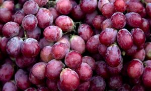 3 healthy antioxidants you may not know about