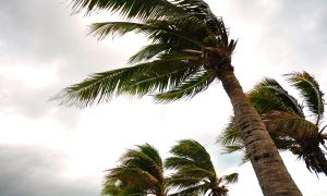 This Pacific hurricane season could be bad—prepare with these expert tips