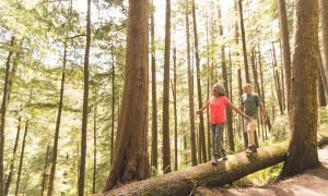 9 ways to lower your dementia risk