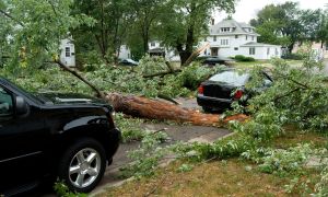 How to stay safe when hurricanes and tropical storms strike