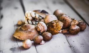 Discover the nutritional magic of mushrooms