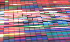 The link between genetics and psoriasis