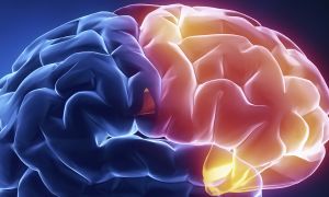 4 facts about frontotemporal dementia (FTD)