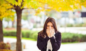 How to avoid the most common fall allergy triggers