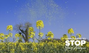 Know before you go: allergy testing