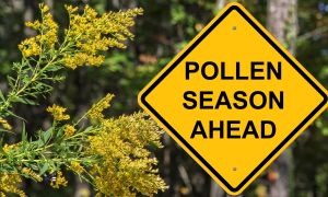 6 ways to prevent spring allergy symptoms