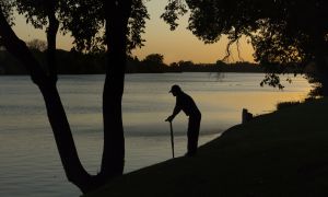 4 key lessons about Alzheimer’s disease