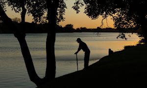 4 key lessons about Alzheimer’s disease