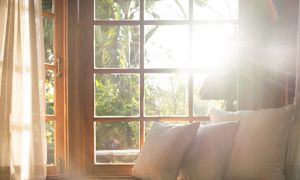 How solar power helps your brain