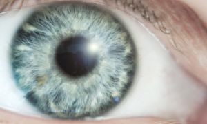 Top eye-health questions to ask your doctor