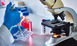 Treatment options for chronic lymphocytic leukemia