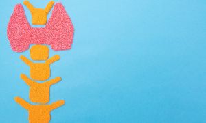 Must-know facts about your thyroid