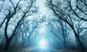 4 fibromyalgia myths, debunked