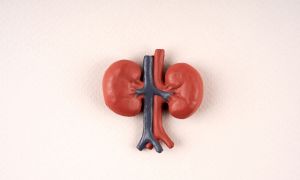 IgA Nephropathy: Key Concepts to Understand