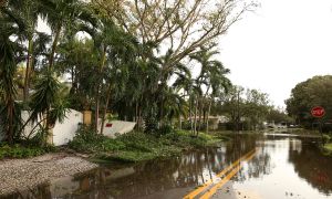 In the path of a storm? Here’s how to prepare and evacuate safely