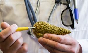 Conditions associated with exocrine pancreatic insufficiency