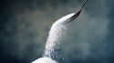 Could Warning Labels Help Reduce Sugar Intake?