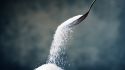 Could warning labels help reduce sugar intake?
