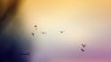Bug-borne illnesses are on the rise—here’s how to avoid them