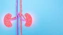 How kidney disease can lead to anemia