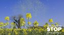 Know before you go: allergy testing