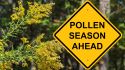 6 ways to prevent spring allergy symptoms