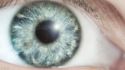 Top eye-health questions to ask your doctor
