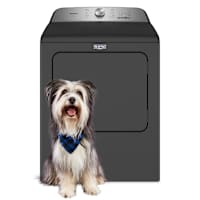 Maytag Natural Gas Dryer (Pet Pro) (MGD6500MBK) - Black Shadow Maytag Natural Gas Dryer (Pet Pro) (MGD6500MBK) - Black Shadow