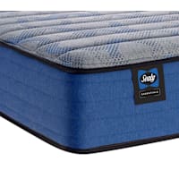 Sealy Mollie 11 Sealy Mollie 11