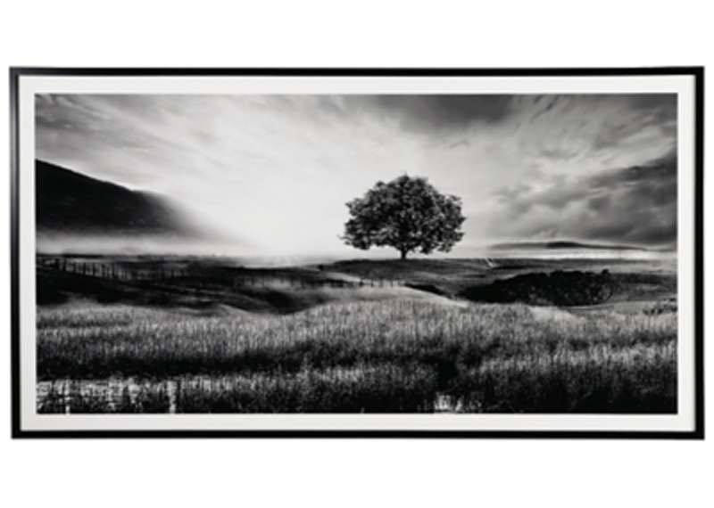 Tribec Wall Art 30.00 Tribec Wall Art 30.00