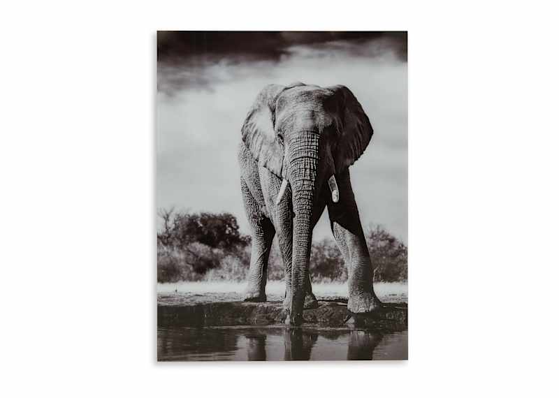 Glinyard Wall Art 36.00 Glinyard Wall Art 36.00