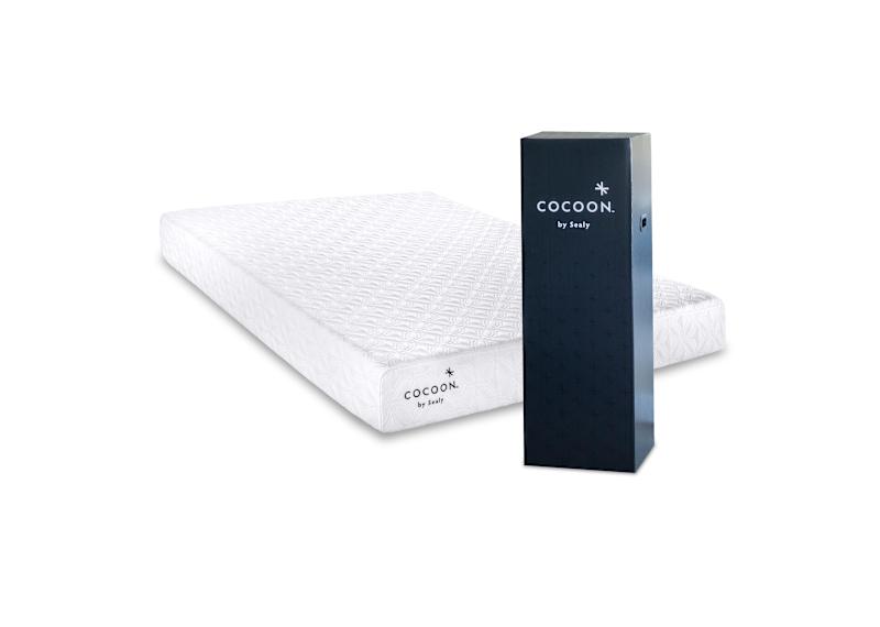 Sealy Cocoon by Sealy Essentials 8 Sealy Cocoon by Sealy Essentials 8