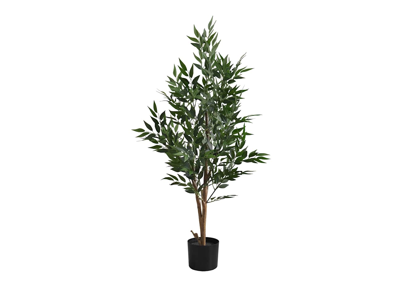 Acacia Tree | Decora Home