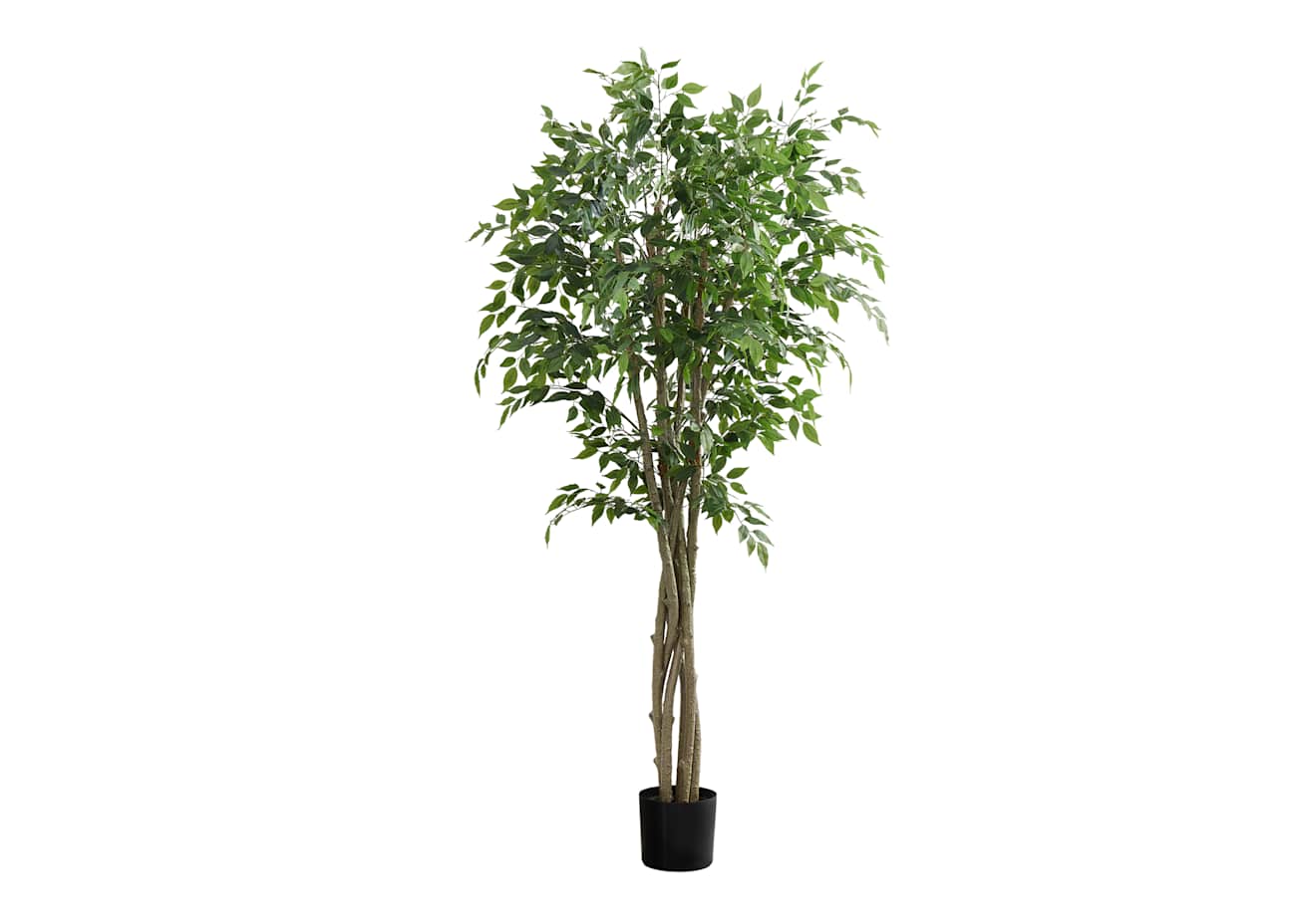 Ficus Tree | Decora Home