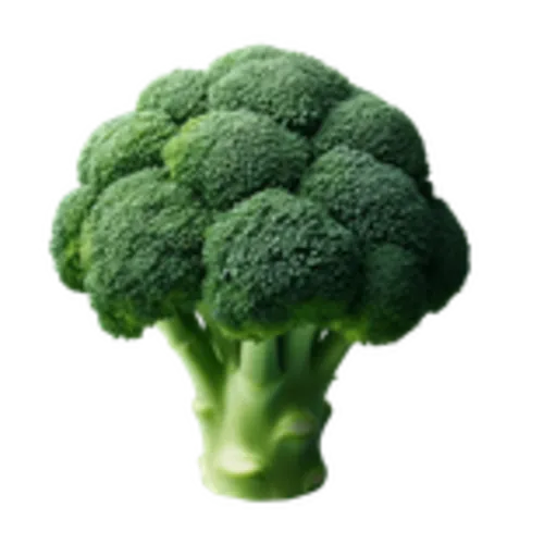 Een broccoli inclusief de stam