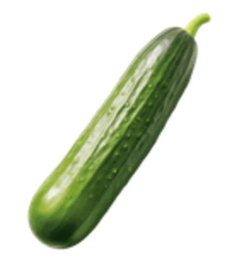 Een komkommer