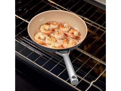 Ninja Extended Life Premium Ceramic 10 1/4-Inch Fry Pan Ceramic Nonstick -  Ninja