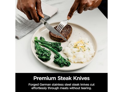 Ninja Foodi NeverDull System Premium 4-Piece Steak Knife Set