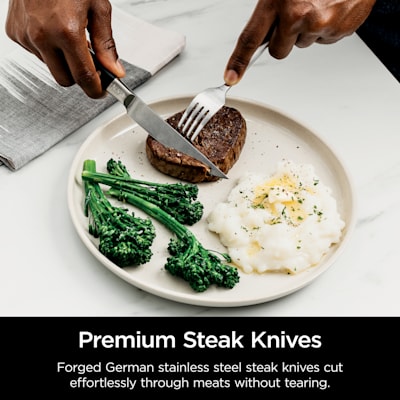 Ninja Foodi NeverDull Premium 14-Piece Stainless Knife System